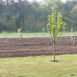 Nocleg ze śniadaniem Bourgondisch