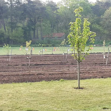 Bed and breakfast Bourgondisch