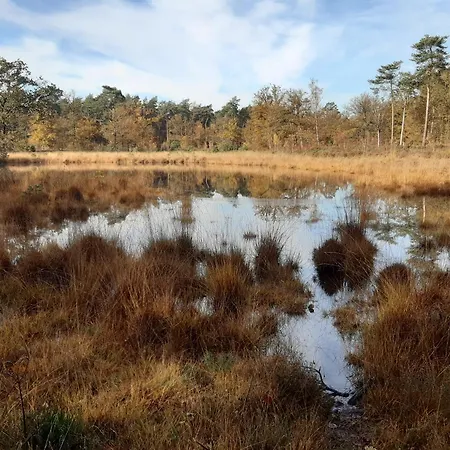 Bed and breakfast Bourgondisch