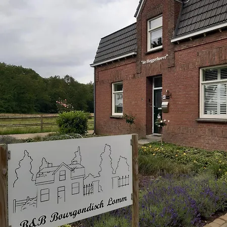Bourgondisch Lomm