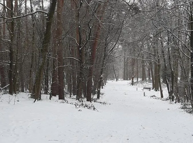 Bourgondisch Bed & Breakfast