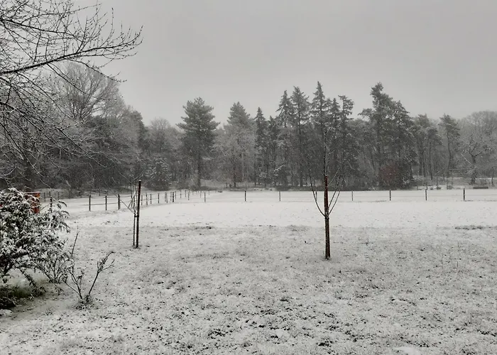 Bed & Breakfast Bourgondisch 3*