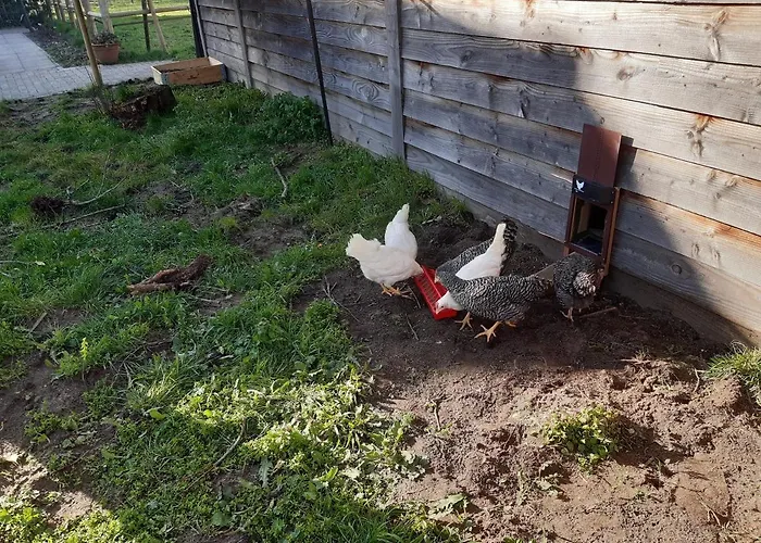 Bed & Breakfast Bourgondisch Lomm