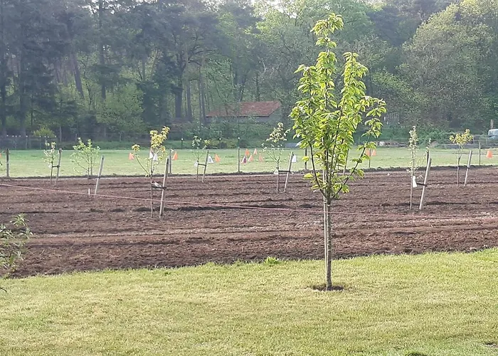 Bed & Breakfast Bourgondisch