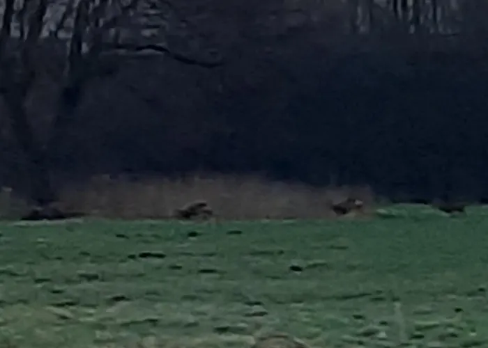 Bourgondisch 3* Lomm