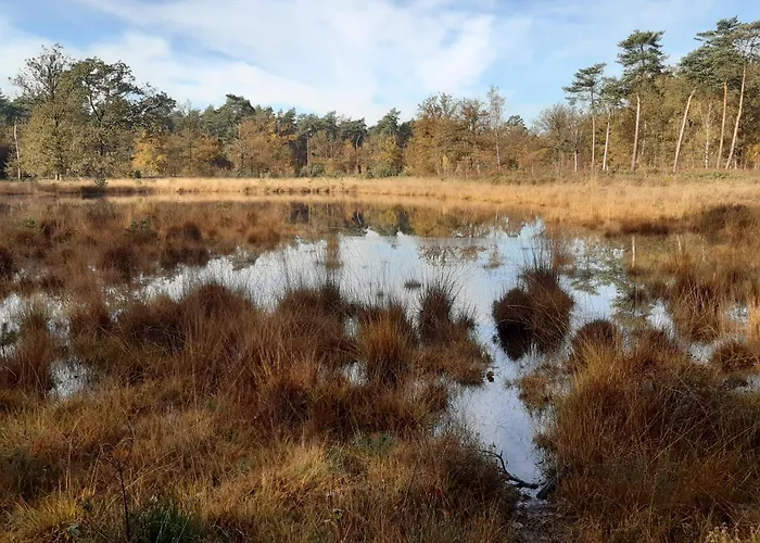Bed & Breakfast Bourgondisch