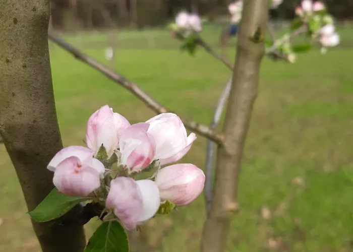 Bed & Breakfast Bourgondisch