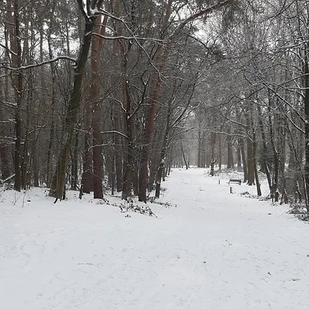 Bourgondisch Bed & Breakfast