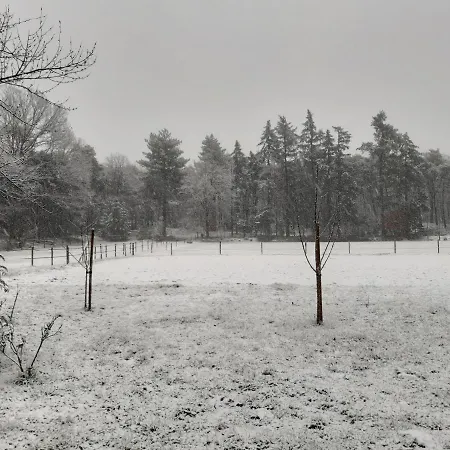 Bed & Breakfast Bourgondisch 3*