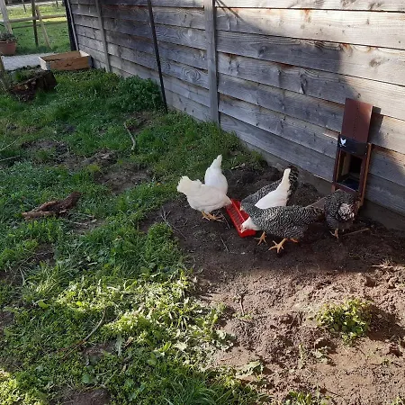 Oda ve Kahvaltı Bourgondisch Lomm