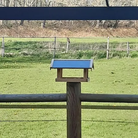 Bourgondisch Oda ve Kahvaltı Lomm