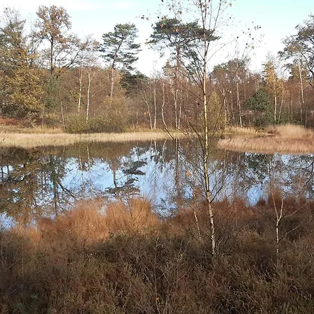 Bourgondisch Bed & Breakfast Lomm