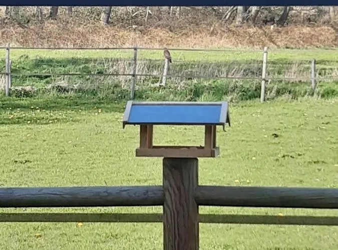 Bourgondisch Bed & Breakfast Lomm