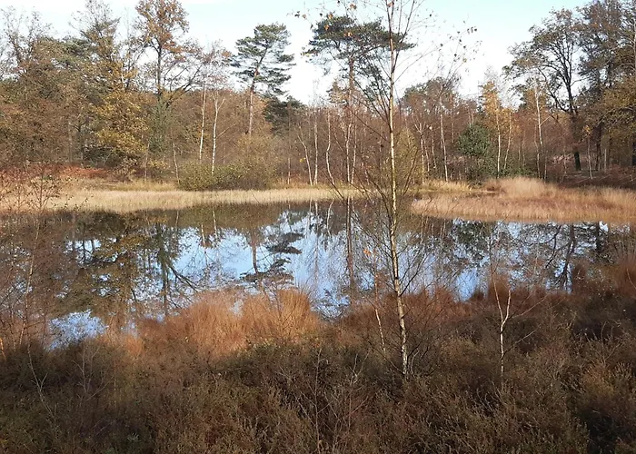 Bourgondisch Bed & Breakfast Lomm